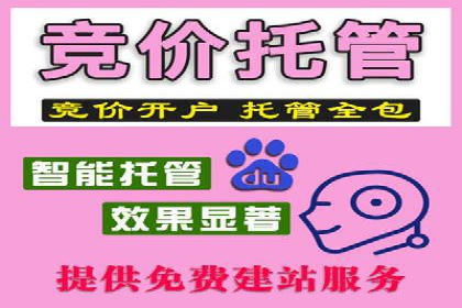 百度推广运营策略案例：品牌提升的捷径